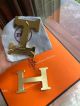 New Copy Hermes Black Belt & Gold Frosted Buckle (3)_th.jpg